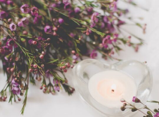 To long con vuong 4 540x400