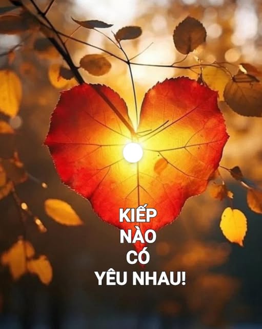 kiepnaocoyeunhau