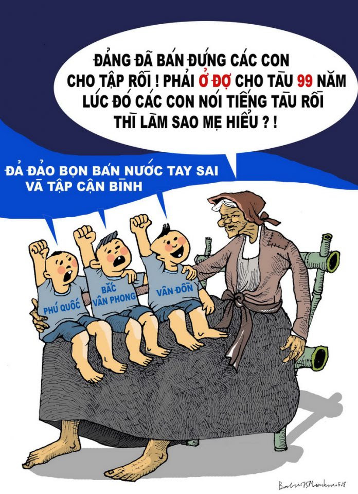 luat