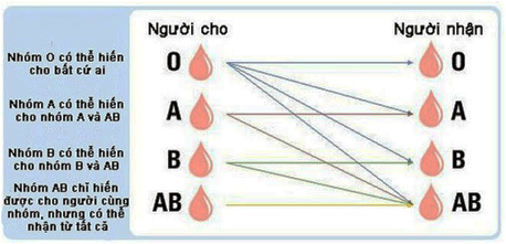 LeAnh TaiSaoPhaiChiaRaNhomMau 10
