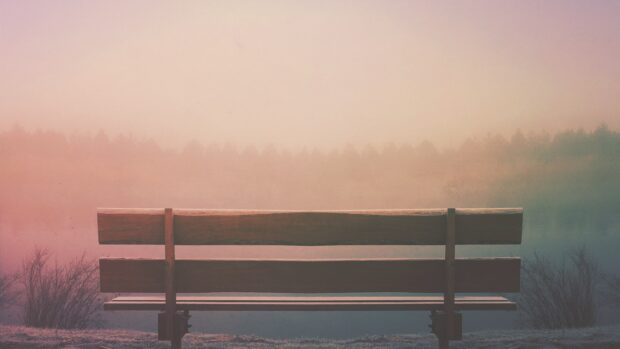 aaron burden 2bg1jPty490 unsplash 620x349