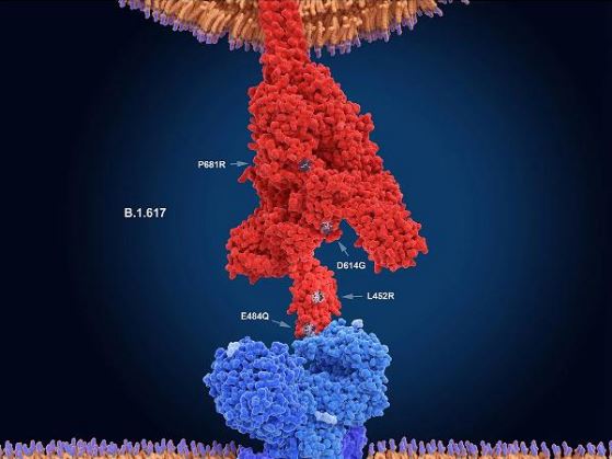 canchicnguathemkhong