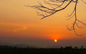 chumtholactrongsuongkhoi 1