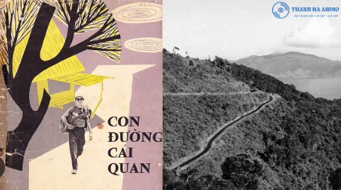 tinhcaconduongcaiquan