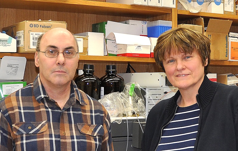 katalin kariko nguoi hung trong nam3