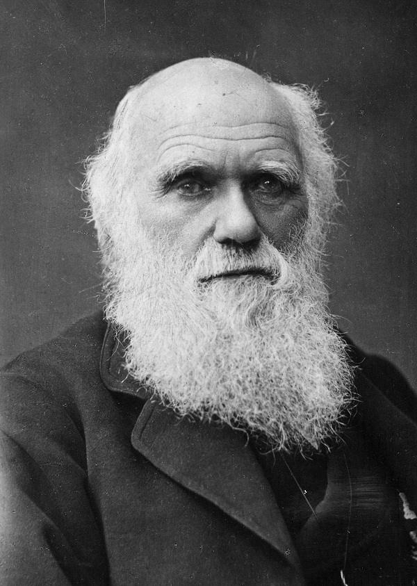 CharlesDarwin