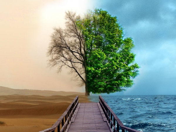 hanhphuc7 20190830131915