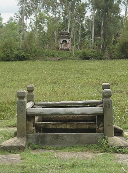 vuonghongsen
