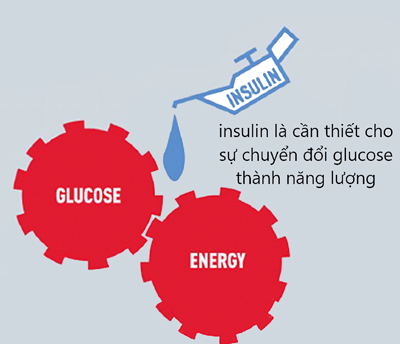 kiem soat nang luongnyd